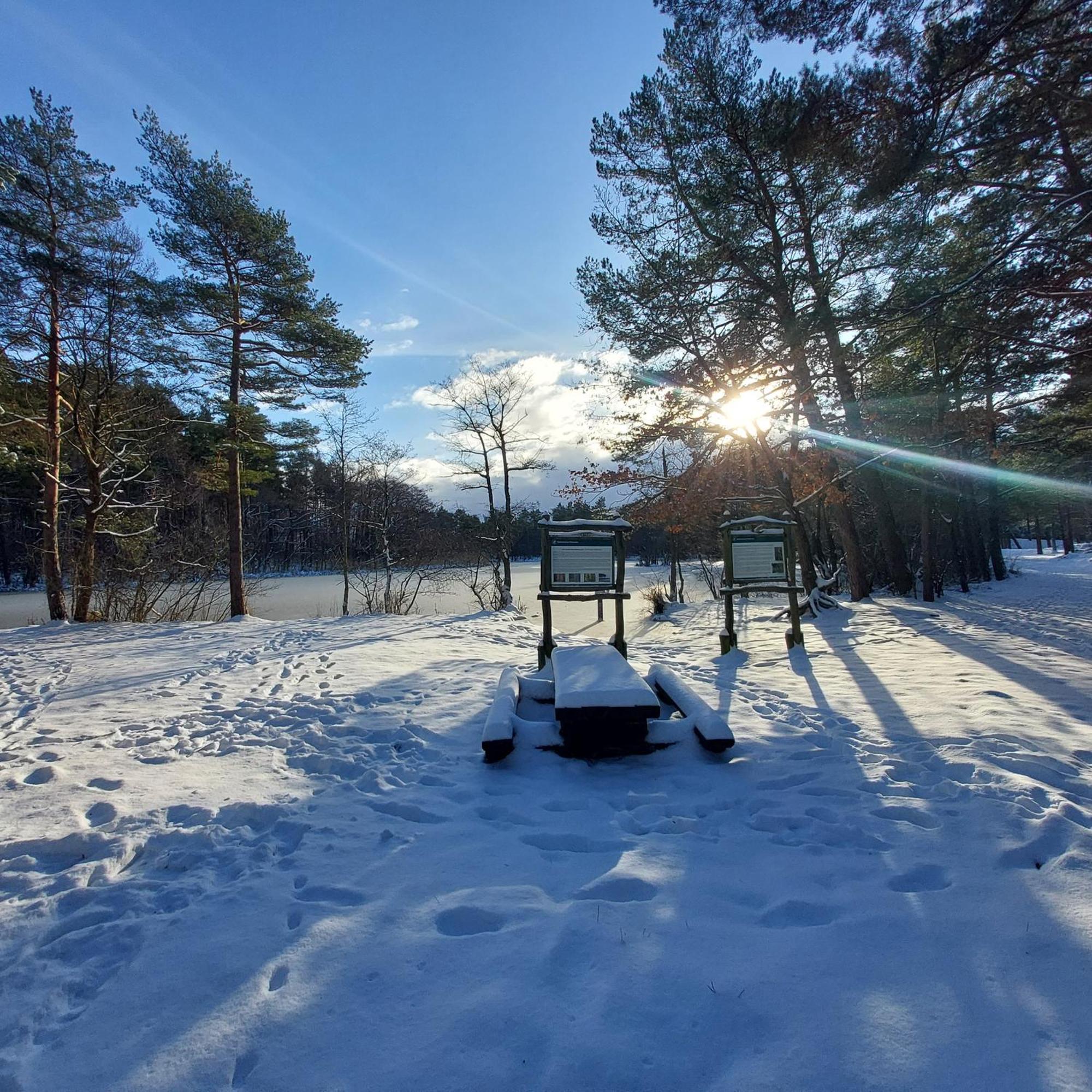 Holiday home Rozany Na Wiejskiej Lubiatowo (Pomerania)